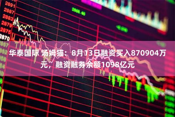 华泰国际 汤姆猫：8月13日融资买入870904万元，融资融券余额1098亿元