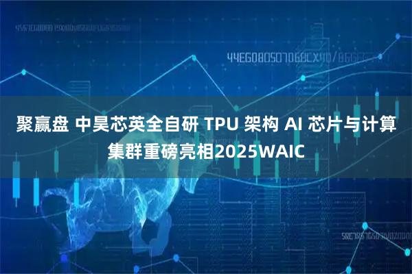 聚赢盘 中昊芯英全自研 TPU 架构 AI 芯片与计算集群重磅亮相2025WAIC