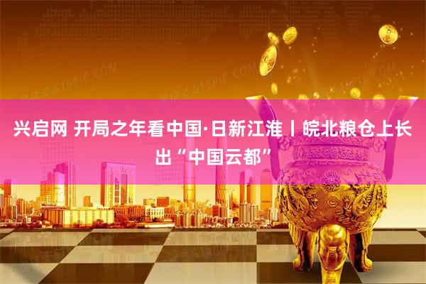 兴启网 开局之年看中国·日新江淮丨皖北粮仓上长出“中国云都”